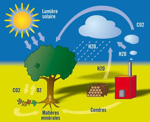 compte r développement durable