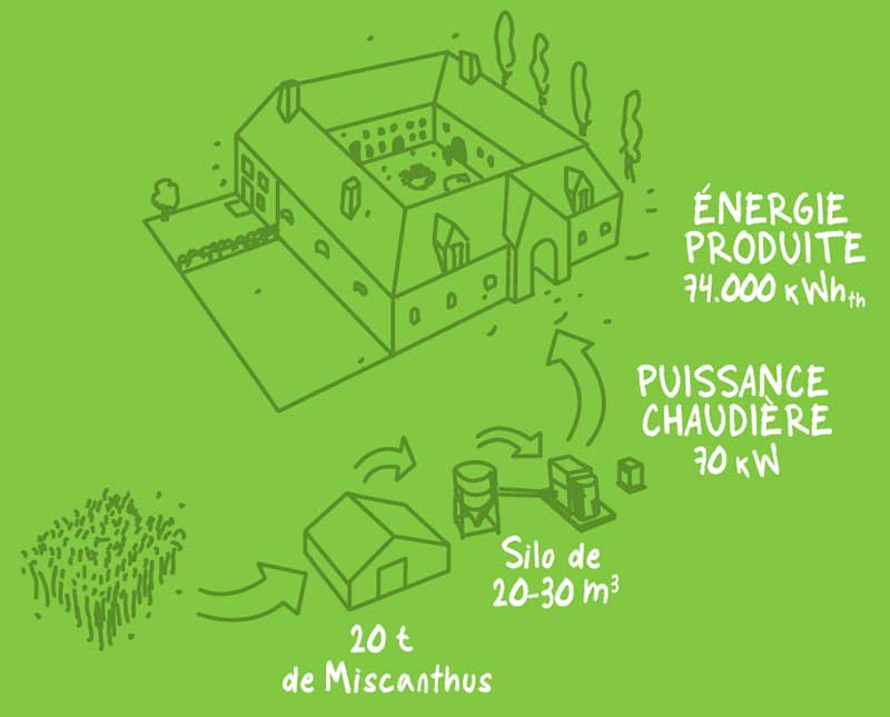 Un mini-réseau de chaleur alimenté au miscanthus