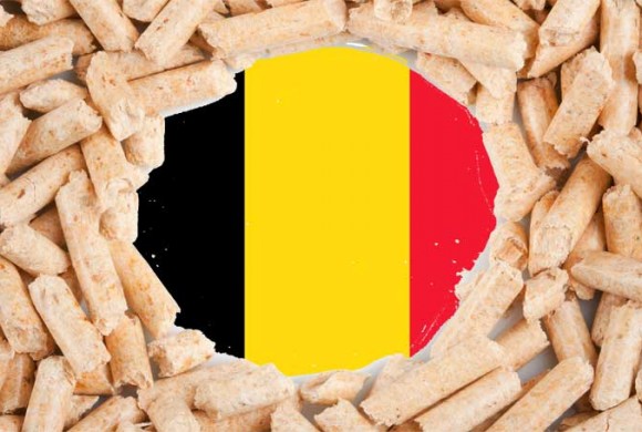 La Belgique est championne d’Europe du pellet