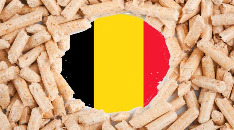 La Belgique est championne d’Europe du pellet