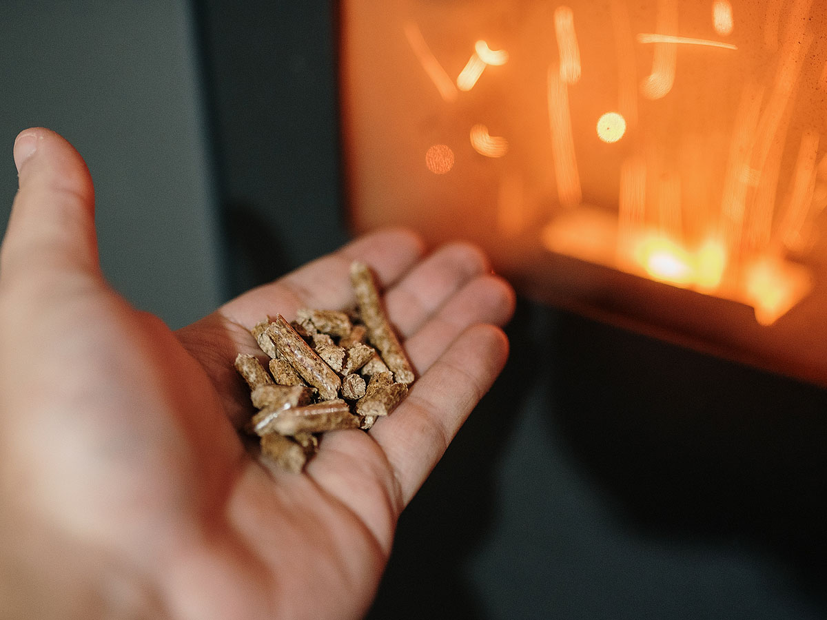 Chauffage au bois : quel est le prix aujourd'hui des pellets ou