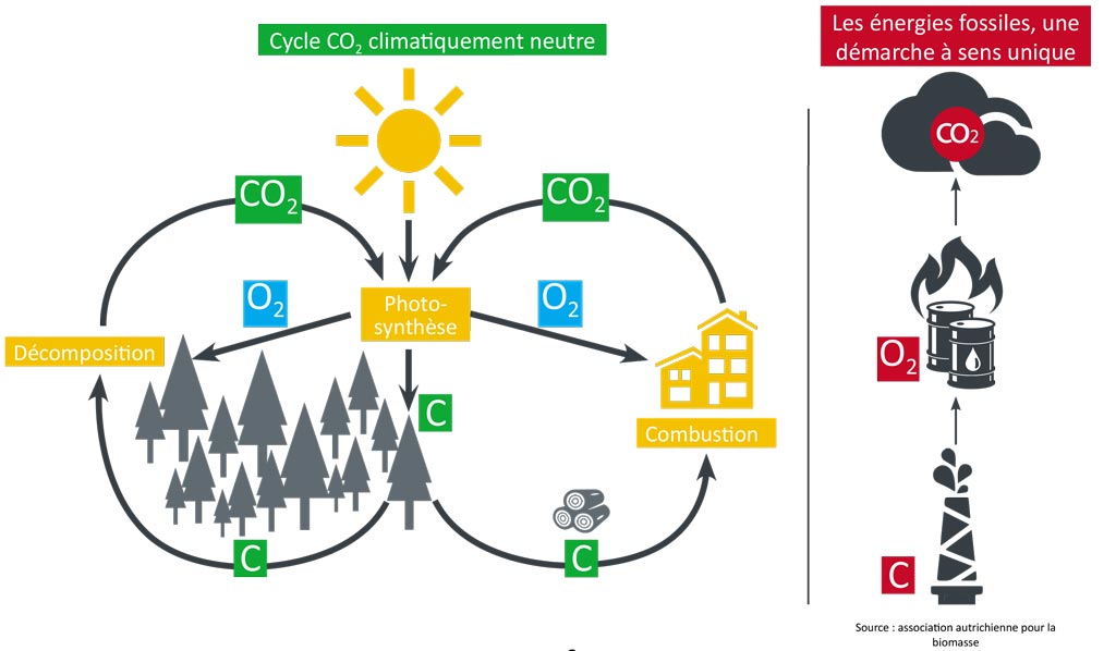 ETA eSH16 20 eTWIN16 le chauffage au bois est ilclimatiquement neutre