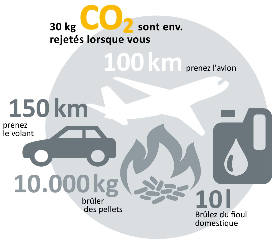 ETA ePE BW8 22kW condensation 30kg co2 rejetes