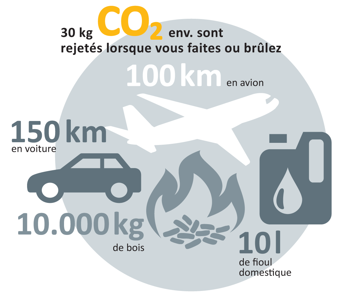 ETA ePE BW8 22kW condensation 30kg co2 rejetes