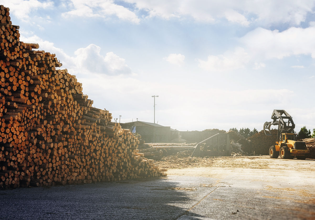 La chaudiere a bois dechiquete de haute performance pour l‘industrie VR 50 500kW