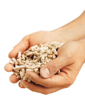 Pellets le combustible efficace et simple demploi