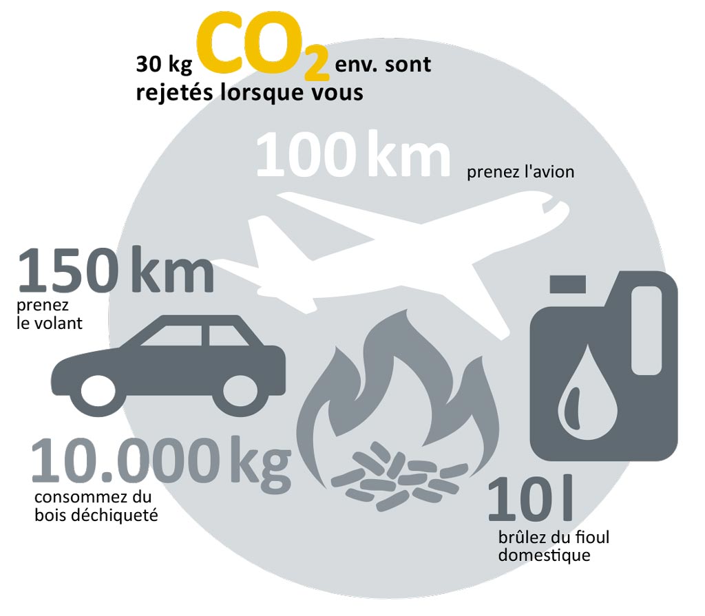 Systeme de stockage des pellets Ecologique et neutre en CO2