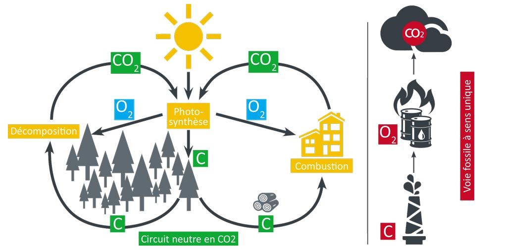 Systemes de stockage de pellets ETA Circuit neutre en CO2 Voie fossile a sens unique